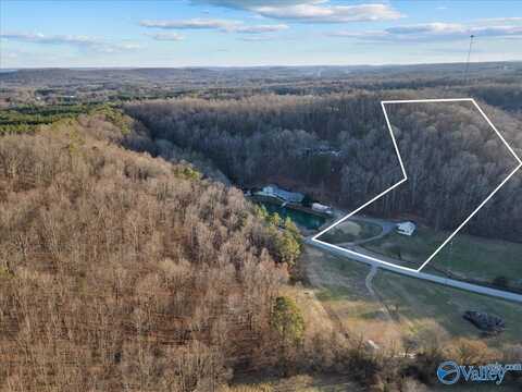 1091 Rocky Hollow Road, Blountsville, AL 35031