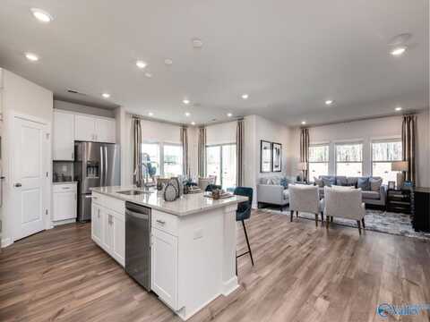 29259 Satilla Circle, Madison, AL 35757