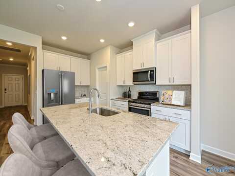 29283 Satilla Circle, Madison, AL 35756