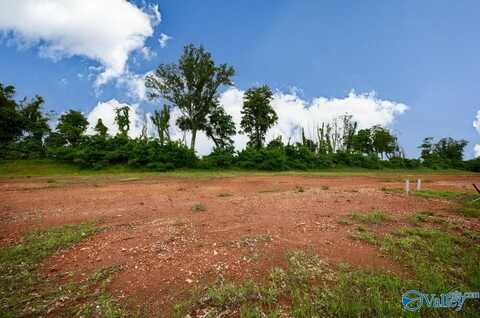 158 Knockash Hill, Madison, AL 35756