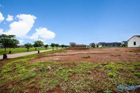 147 Knockash Hill, Madison, AL 35756