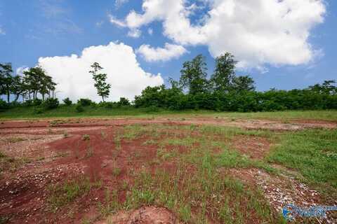 146 Knockash Hill, Madison, AL 35756
