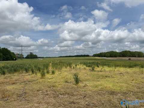 54 Acres Hwy 207, Anderson, AL 35610