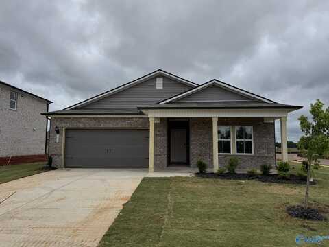 100 Gypsy Way, Toney, AL 35773