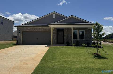 100 Gypsy Way, Toney, AL 35773