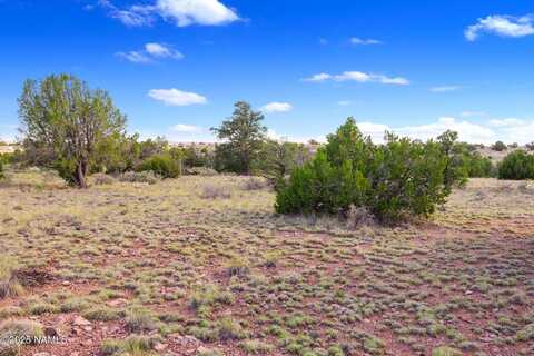 212 S Palmetto Road, Williams, AZ 86046