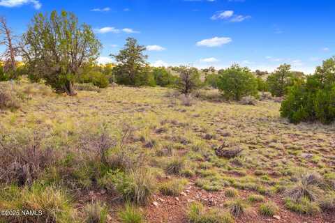 212 S Palmetto Road, Williams, AZ 86046