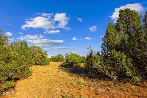 243 S Ann Circle, Williams, AZ 86046