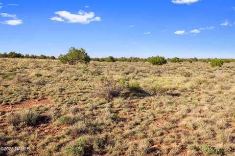 591 S Palmetto Road, Williams, AZ 86046