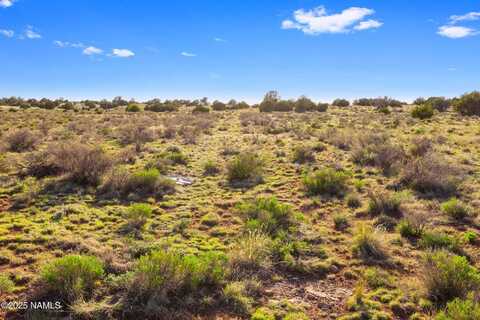 591 S Palmetto Road, Williams, AZ 86046