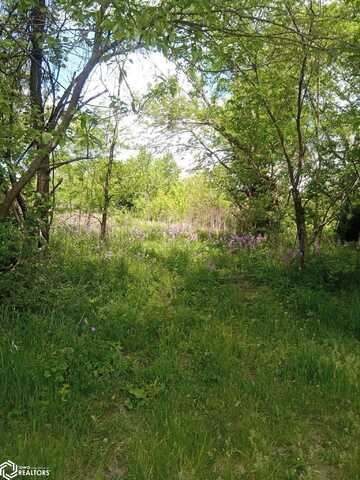 206 N 6th Street, Mystic, IA 52574