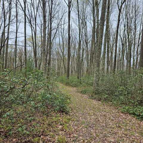 0 Coudersport Pike, Lock Haven, PA 17745