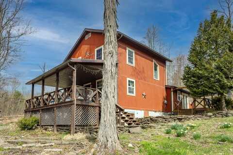 599 BUCK RUN RD, Mansfield, PA 16933