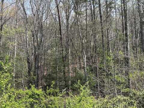 Hwy 64, Murphy, NC 28906