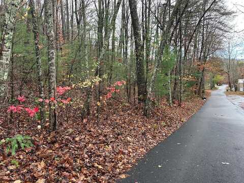 5.7 Ac Butternut Grove Road, Blairsville, GA 30512