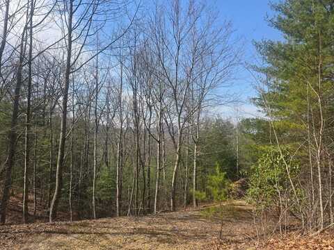 8 & 9 Up The Ridge Road, Blairsville, GA 30512