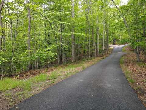 Lot F-1 Bruce Mountain Road, Morganton, GA 30560
