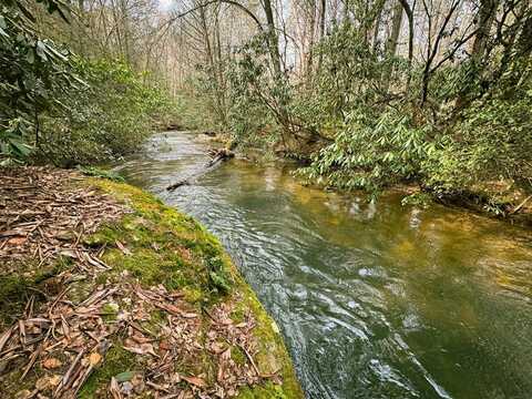 49/50 Hemlock Circle, Blue Ridge, GA 30513