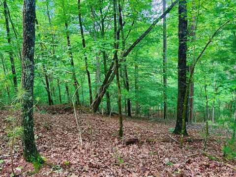 1190 Gibe Court, Ellijay, GA 30540