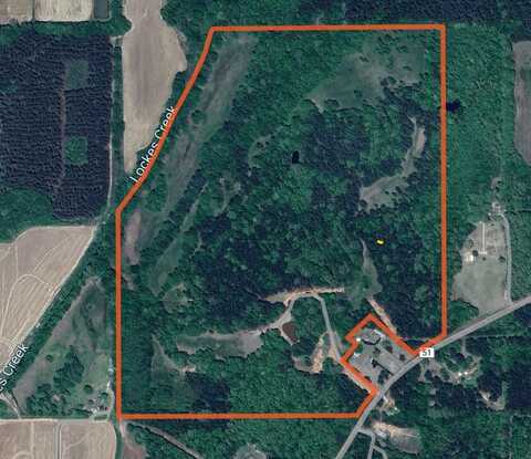 CR 51, Myrtle, MS 38650