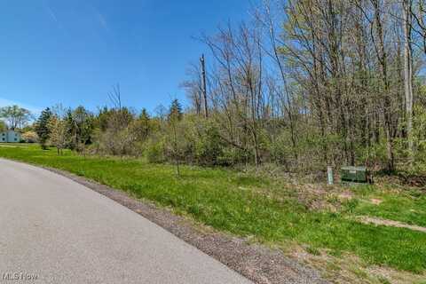 Starbush Court, Chagrin Falls, OH 44023