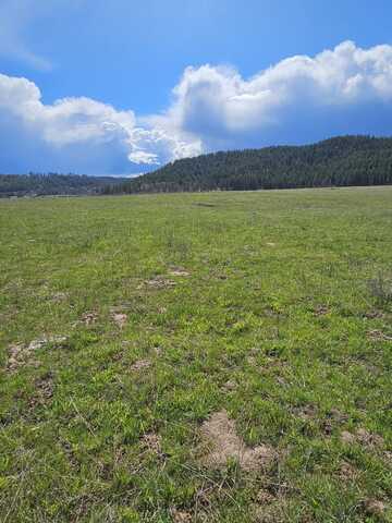 4627 SPRINGDALE HUNTERS RD, SPRINGDALE, WA 99173