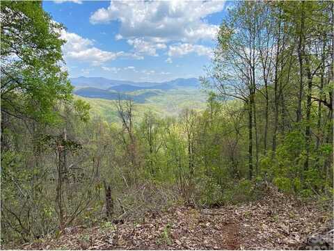 1029 Kestrel Lane, Black Mountain, NC 28711