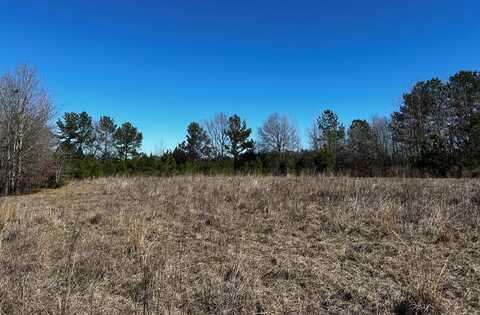 R14353 CR 167, Long Branch, TX 75669