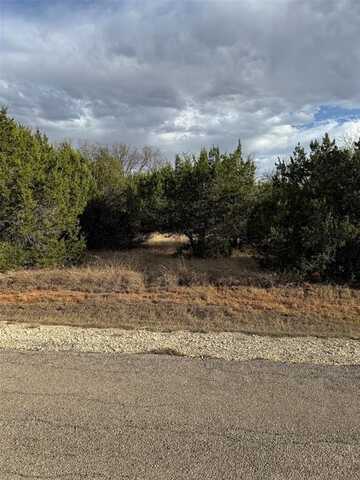 32039 Dove Trail, Whitney, TX 76692
