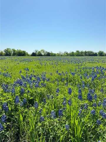 5 Acres FM 308 Road, Penelope, TX 76676