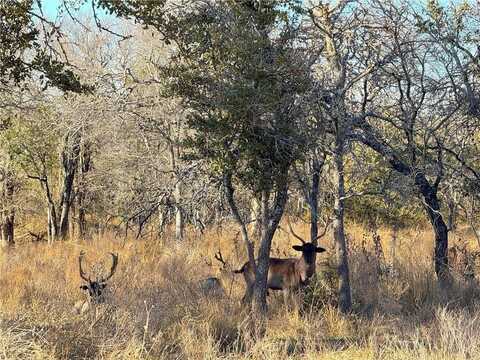 1782 FM 218 Road, Hamilton, TX 76531
