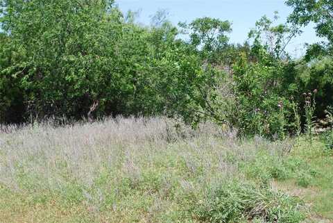 16021 Faircrest Drive, Whitney, TX 76692