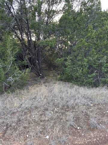 22295 Westmeadow Drive, Whitney, TX 76692