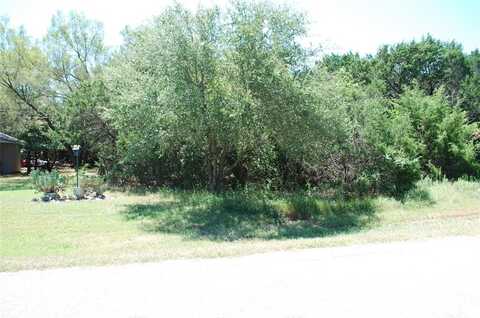 44155 Whisperwood Drive, Whitney, TX 76692