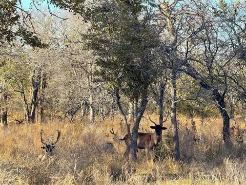 1782 FM 218, Hamilton, TX 76531