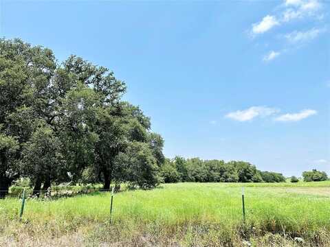 Deer Haven Tract 4 County Road 265, Gatesville, TX 76528