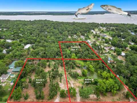 Tbd George A. Green Drive, Gordonville, TX 76245