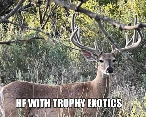 8500 County Road 121, Cross Cut, TX 76443