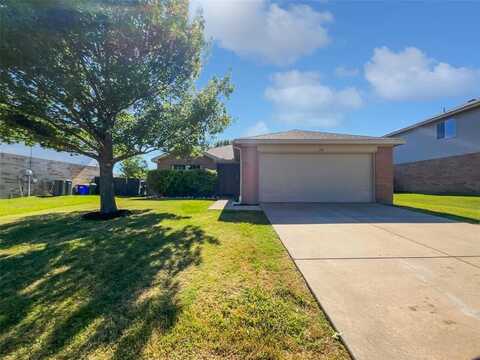 110 Nighthawk Drive, Krum, TX 76249