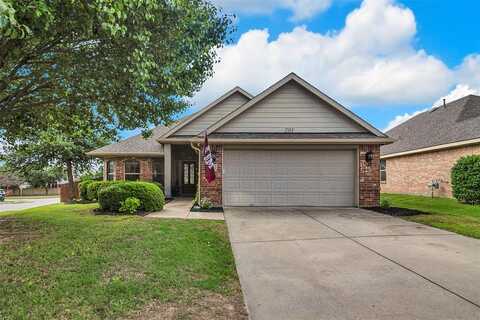 201 Villanova Drive, Van Alstyne, TX 75495