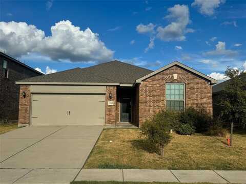 1523 Parks Trail Boulevard, Princeton, TX 75407