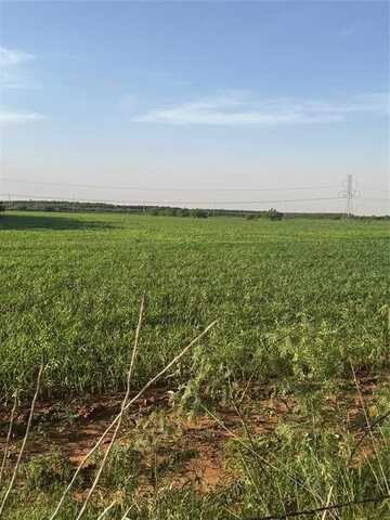 Tbd 25 Acres County Road 368, Trent, TX 79561