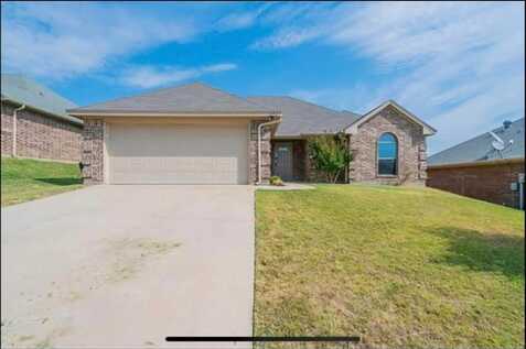 1253 Newcastle Drive, Weatherford, TX 76086