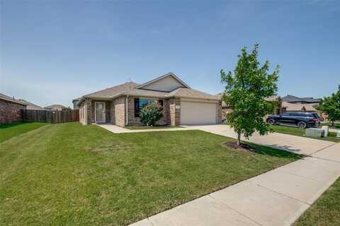 409 Azalea Drive, Josephine, TX 75173