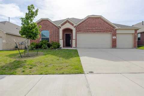 508 Chip Street, Little Elm, TX 75068