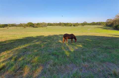 1180 Cameron Hill, Van Alstyne, TX 75495
