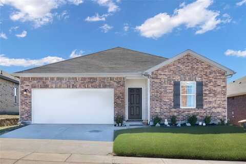801 Peach Tree Lane, Anna, TX 75409
