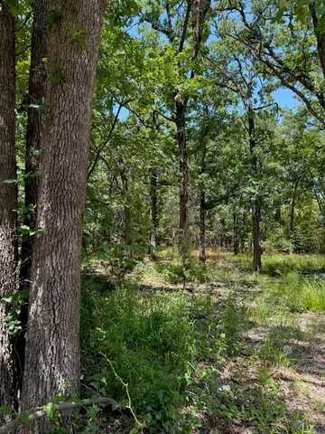 316 Sandy Lynn, West Tawakoni, TX 75474