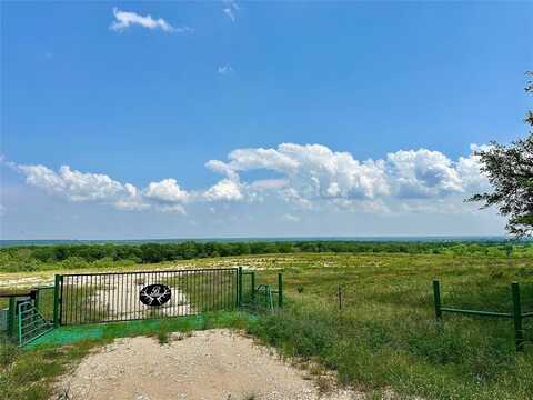 231 Georgia Pass, Desdemona, TX 76445