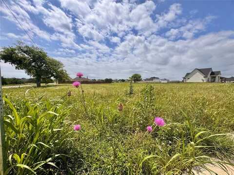 11 Pareya Circle, West, TX 76691